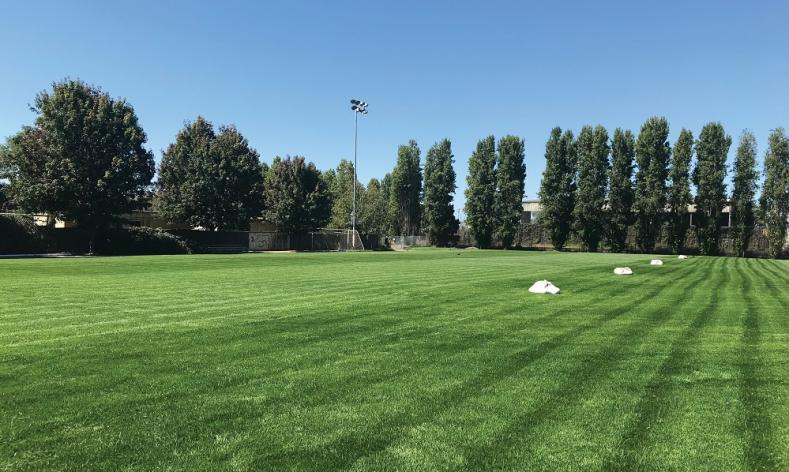 Irrigation at Gabe's field