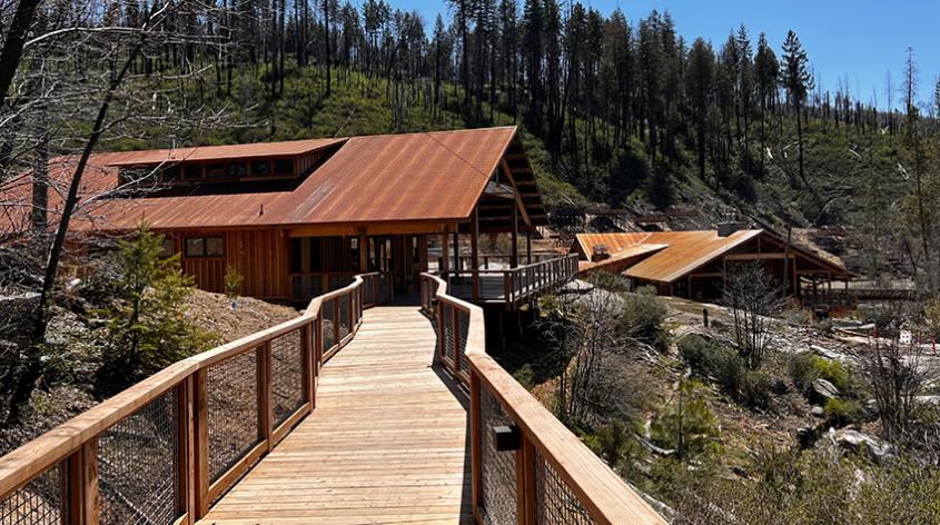Tuolumne Camp Bridge to Dining Hall
