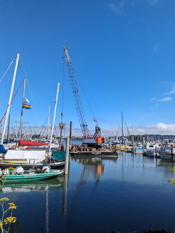 Marina Piling photo #3 Barge