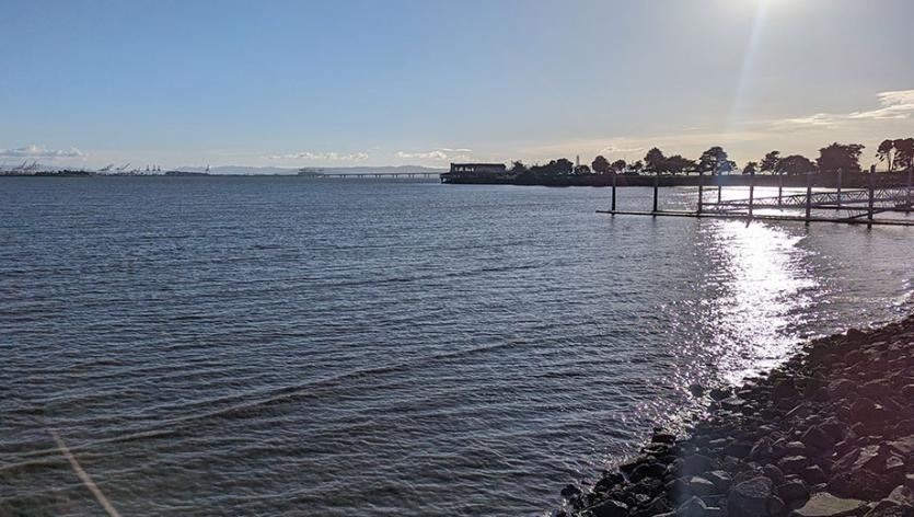 Waterfront at the South Cove in the Marina