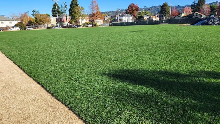 Grove Park Field Photo - grass
