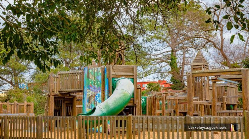 Wooden playground with green slide and tree overhead