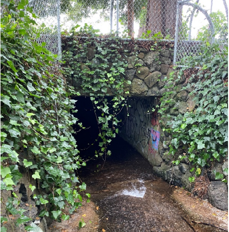 Water flowing through a culvert