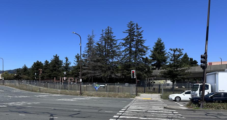 Photo of Here There Area at Berkeley Oakland border on MLK Jr. Ave