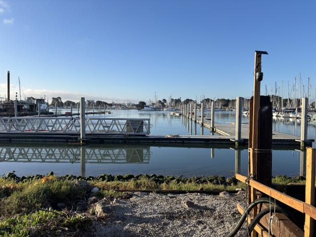 D&amp;E Dock Replacement Photo