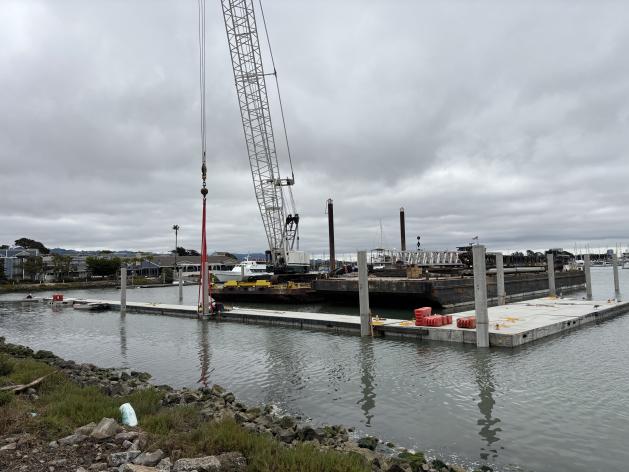 D&amp;E Dock Replacement photo with Crane