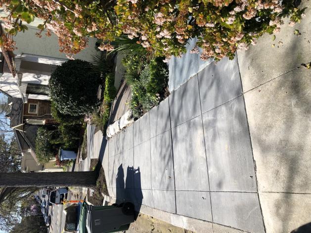 Completed and Repaired Sidewalk Repair Photo