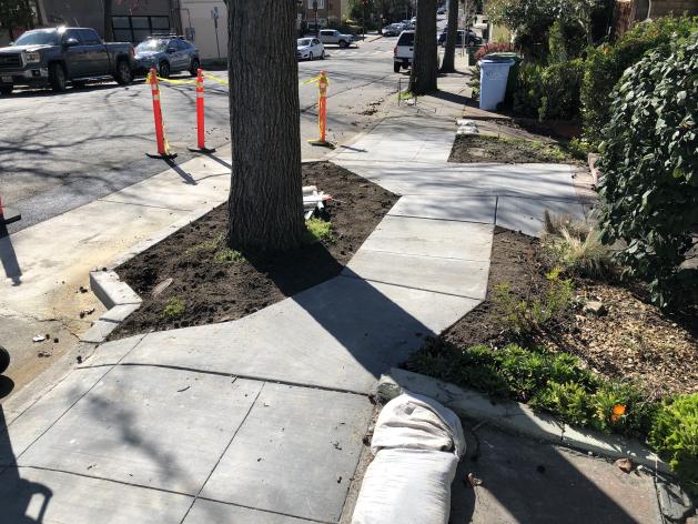 Repaired Sidewalk Photo #2