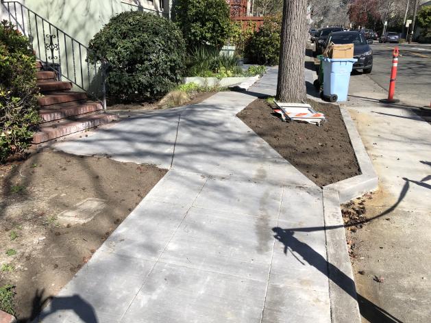 Repaired Sidewalk Photo #3