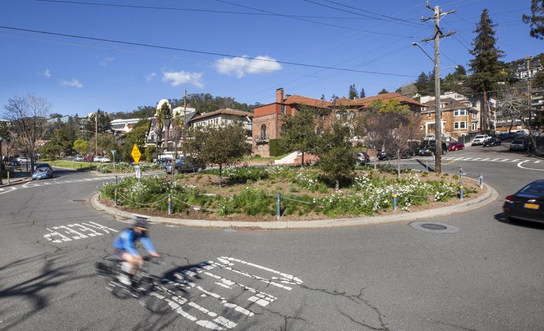 Green Infrastructure at Piedmont Circle