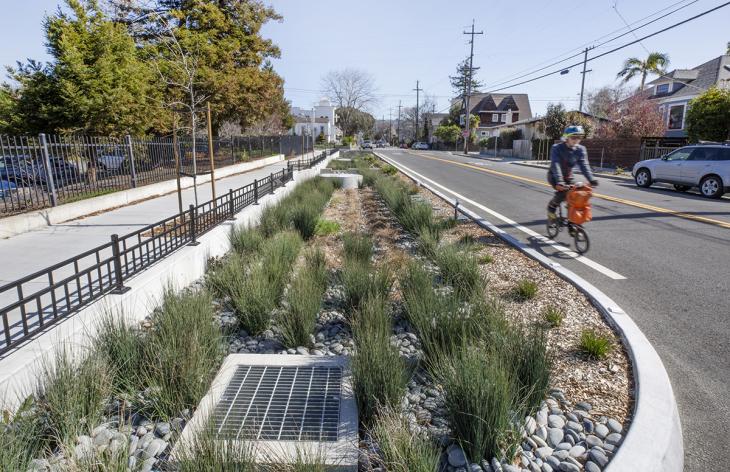 Green Infrastructure at Woolsey