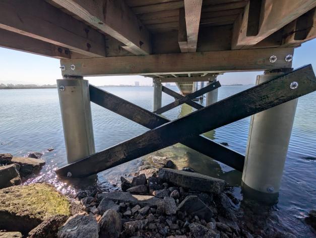 Underside South Cove East Dock Piling after repair