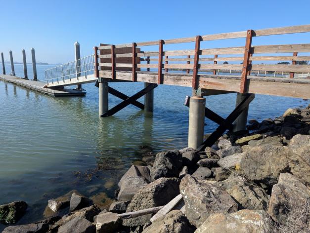 South Cove East Dock Piling after repair