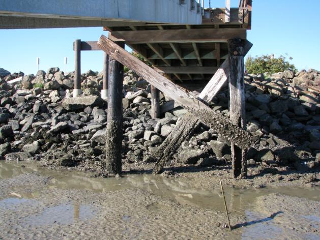 South Cove East Dock Piling before repair