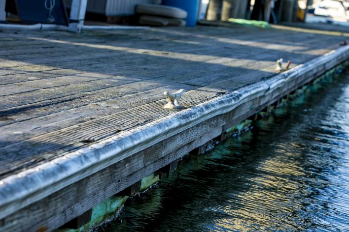 Photo of wooden dock at the Berkeley Marina