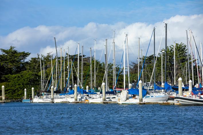 Waterfront boats and dock photo