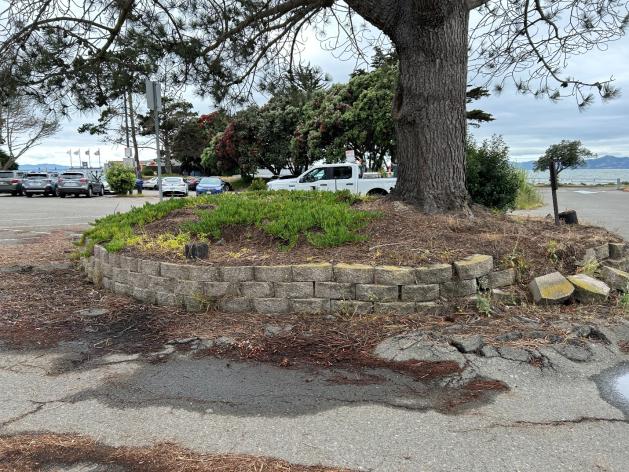 N-Lot Parking Lot damaged planter to be removed