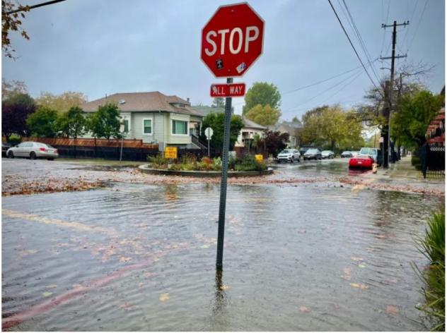 Surface street ponding at Seventh Street and Allston Way