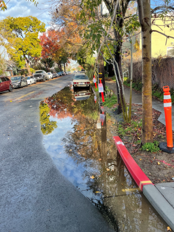 Surface street ponding along sidewalk curb at Eight Street and Hearst Avenue